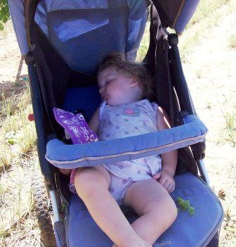 isa-asleep-in-stroller.jpg