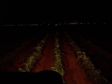 aglianico-view-at-night.jpg