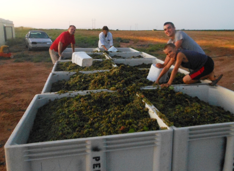 loaded-bins-to-be-weighed.jpg