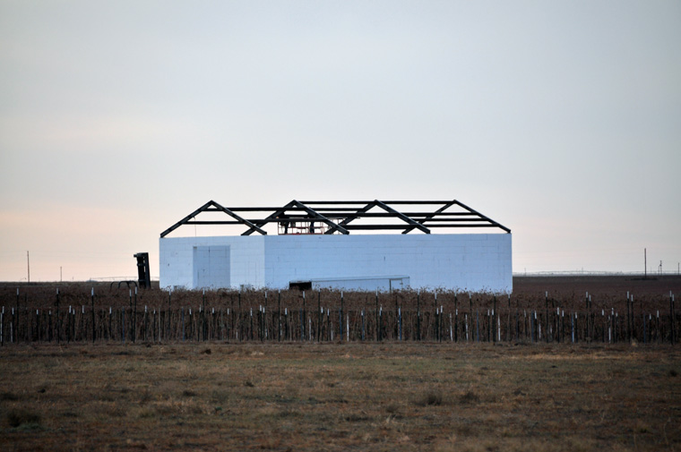 roof-beams-from-vineyard.jpg