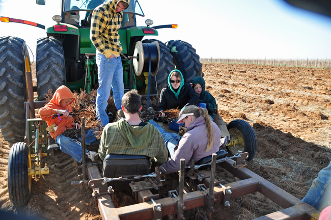 planter-in-action.jpg