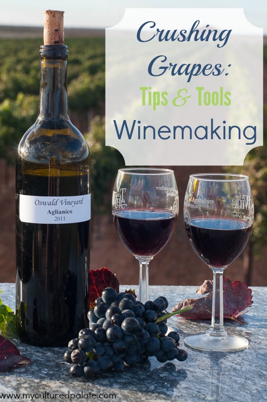 crushing-grapes-tips-and-tools-winemaking1.jpg