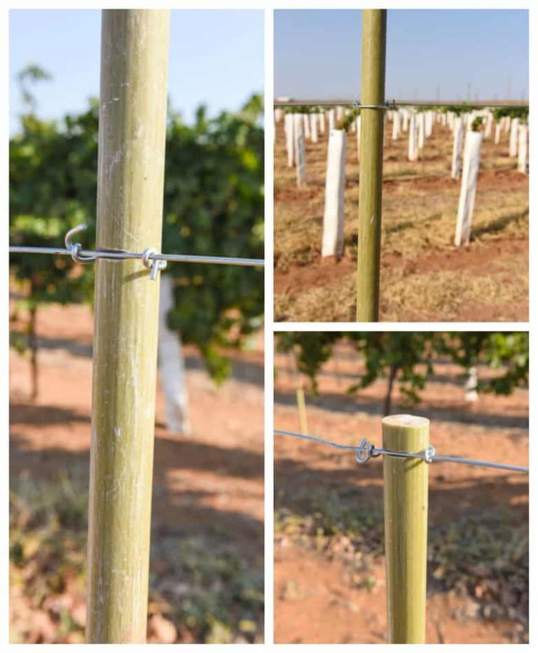 close up - wire clipped onto posts