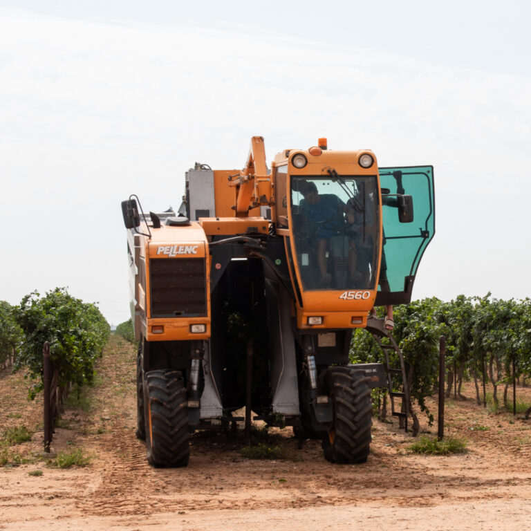 Roussanne and Albarino Harvest 2021 - The Pellenc harvester.