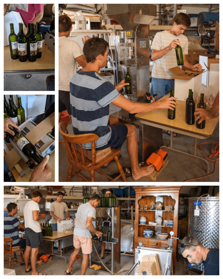 Bottling and Labeling Moscato 2019 - collage of pictures showing the bottling and labeling process.