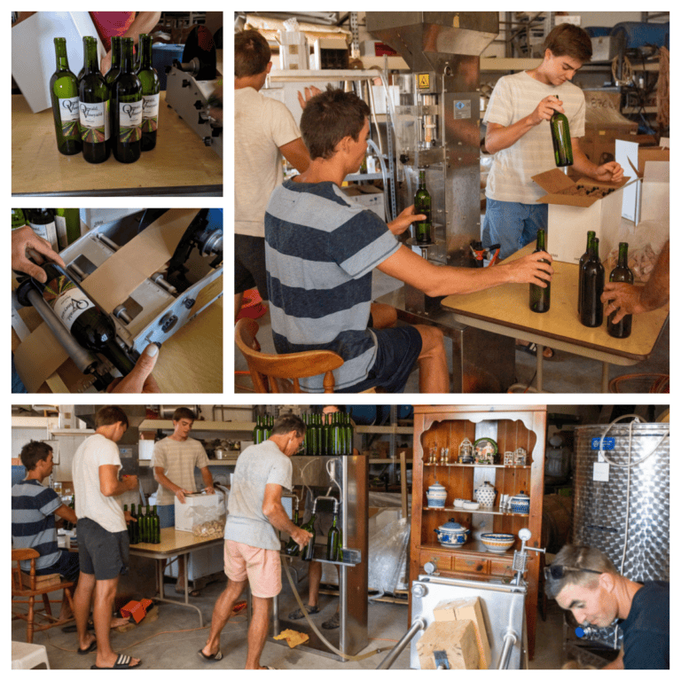 Bottling and Labeling Moscato 2019 - collage of pictures showing snippets of the bottling and labeling process.