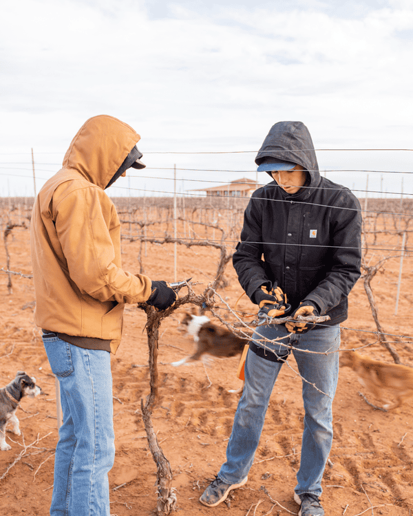 2023 Pruning Has Begun