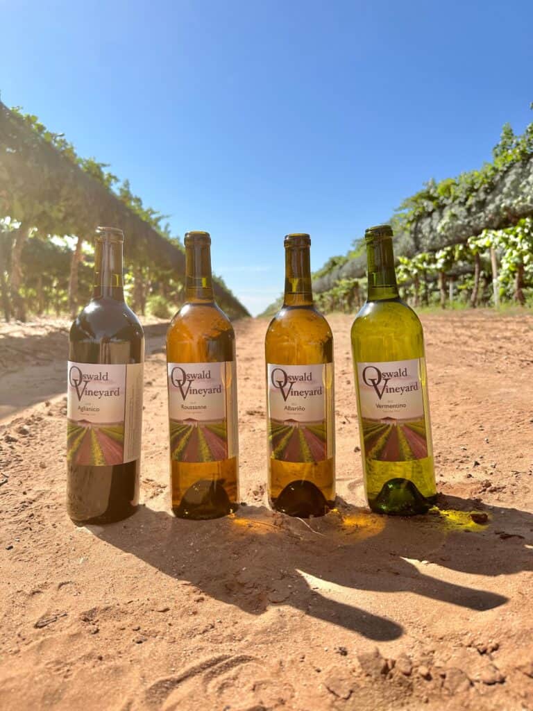 picture of 4 Oswald Vineyard wine bottles in a field. 