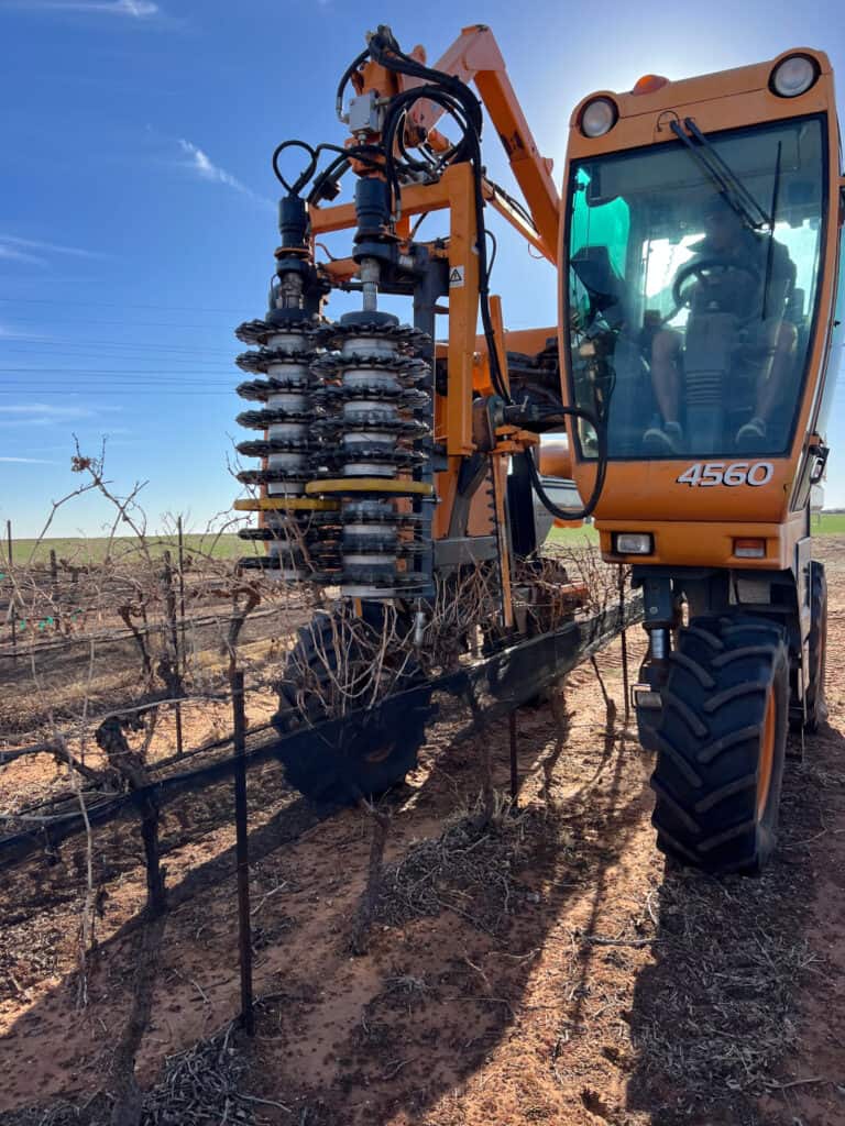 Pellenc pre-pruner being used to prune Oswald Vineyard